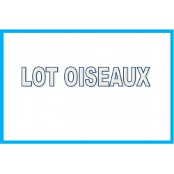 LOT ACTIVITES OISEAU