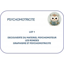PSYCHOMOTRICITE : LOT1