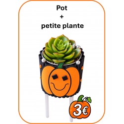 POT AVEC PLANTE HALLOWEEN