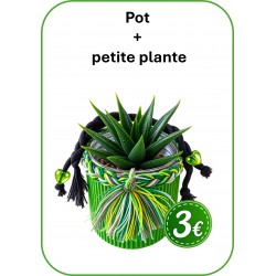 POT AVEC PLANTE HALLOWEEN