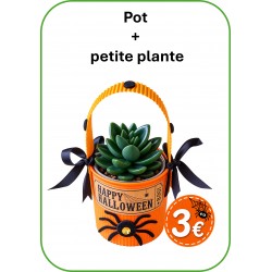 POT avec plante HALLOWEEN